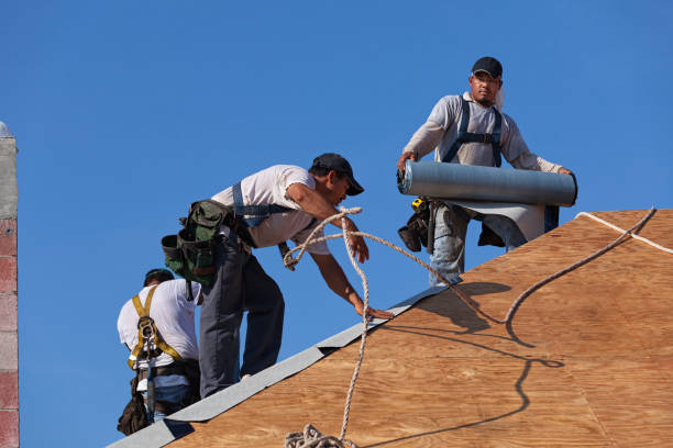 Best Affordable Roofing Company  in Whitg, IN