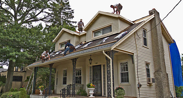 Best Roofing Contractor Near Me  in Whitg, IN